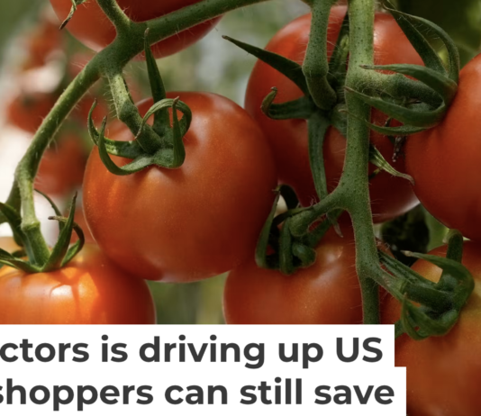 While U.S. produce prices are rising across the board, tomatoes are among the most affected. AP Photo/Marco Ugarte